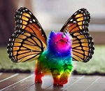 Paradigm Horizon Rainbow Unicorn Kitty